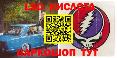 прущие грибы Будённовск