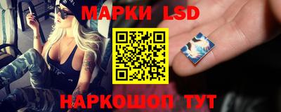шишки Бузулук