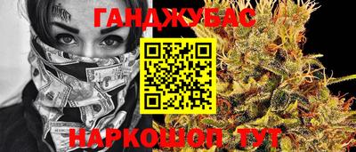 прущие грибы Будённовск