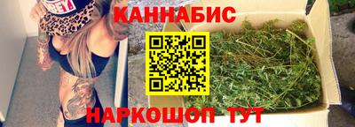 прущие грибы Будённовск