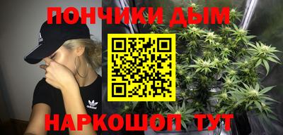 прущие грибы Будённовск