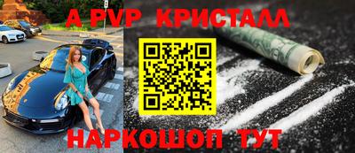 прущие грибы Будённовск